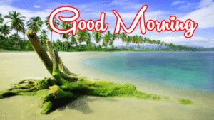 Good-Morning-Images-Photo-Wallpaper-Picture-Free-Download