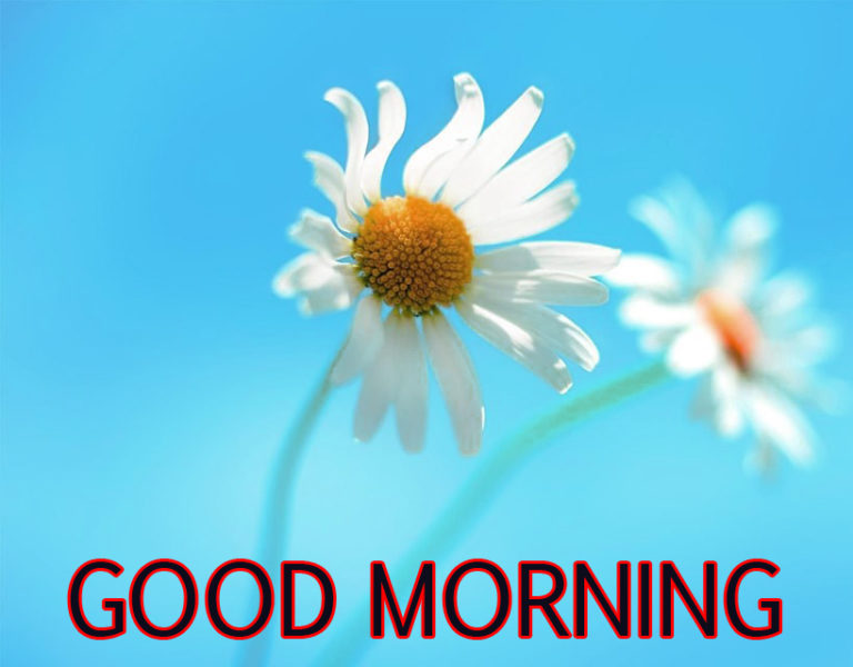 Good Morning Images HD Download - NewTechyTips