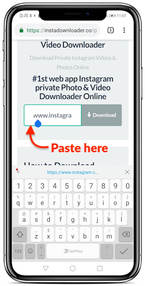 private instagram video downloader