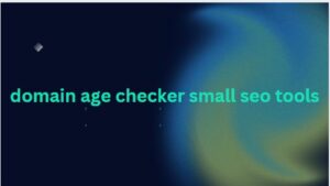 domain age checker small seo tools